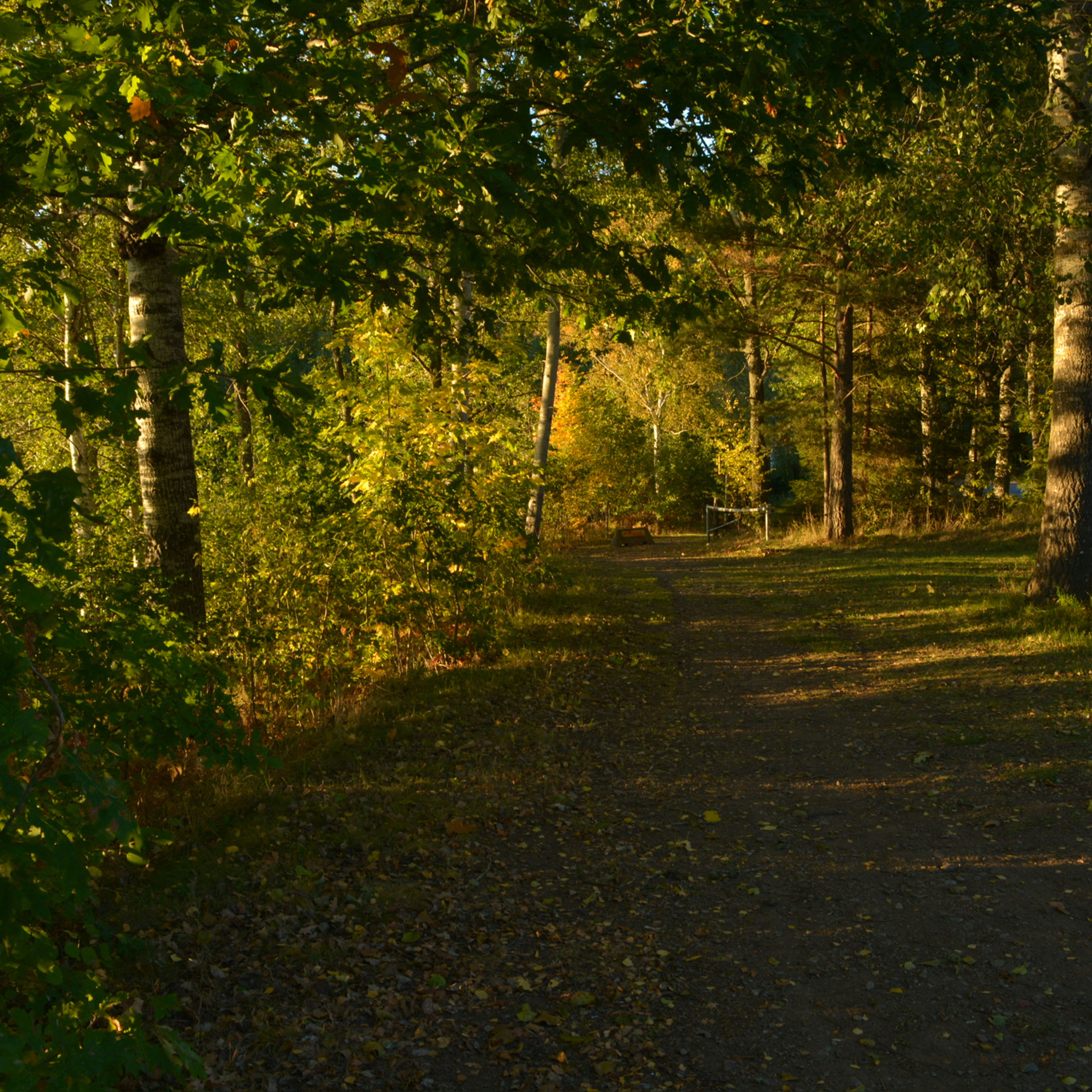 „Eines Morgens riechst du den Herbst“