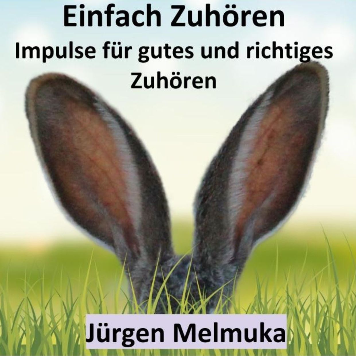 Einfach Zuhören - Folge 20 - Gespräch mit Alex Kristan, Parodist und Komiker