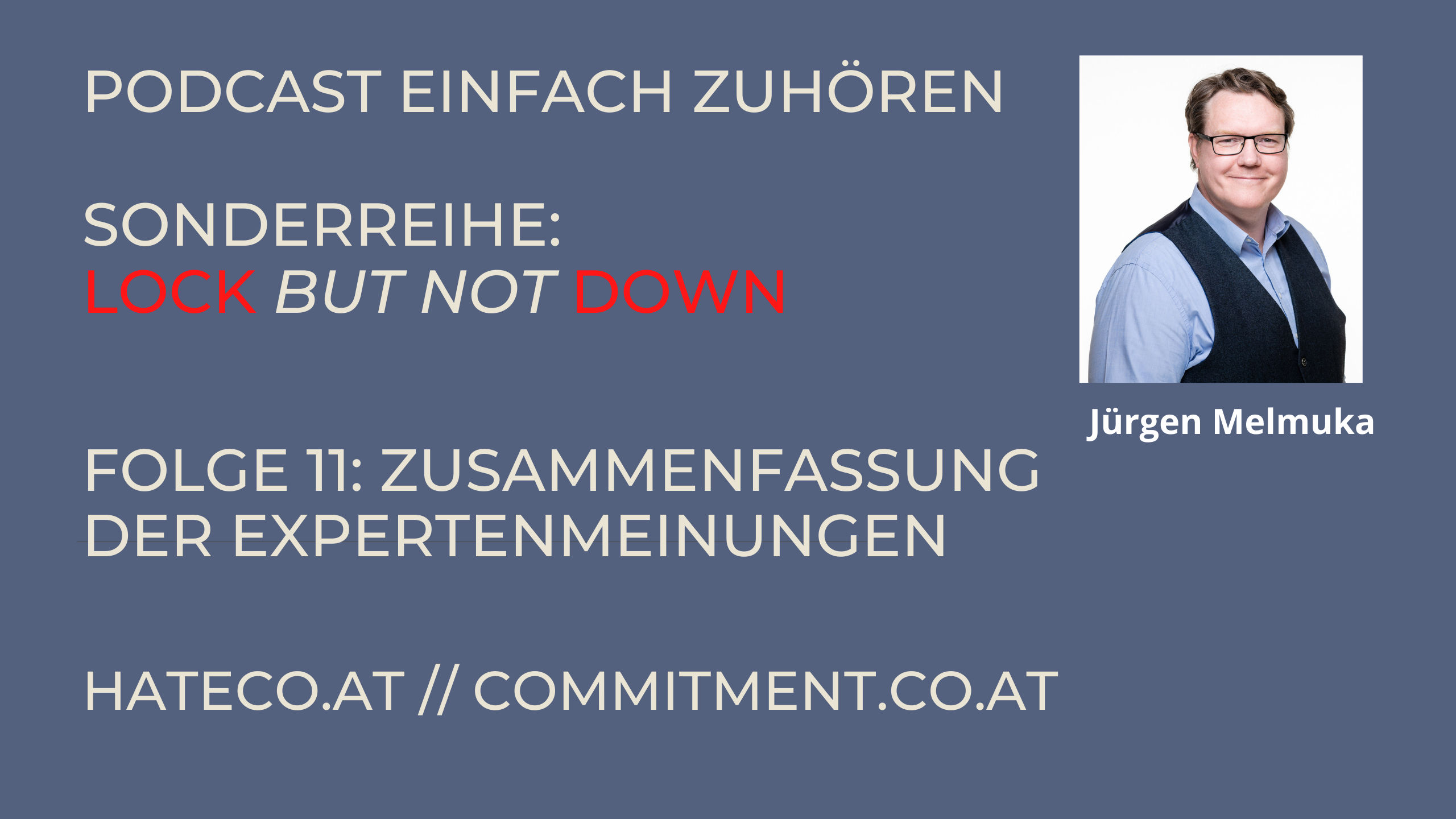 Einfach Zuhören - Sonderreihe Lockbutnotdown - Kapitel 12- Was sagen weitere Experten?