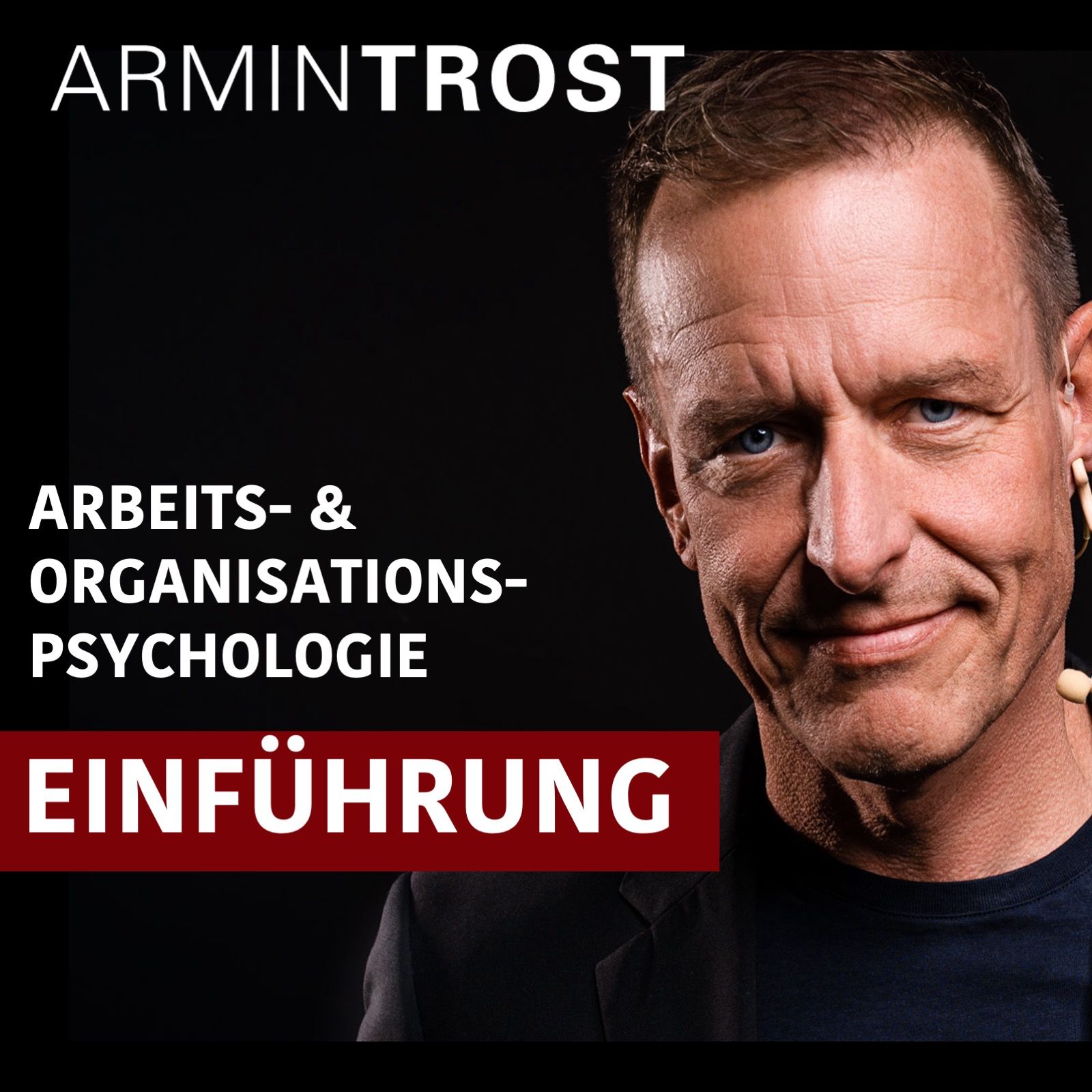Einführung in die Arbeits- und Organisationspsychologie