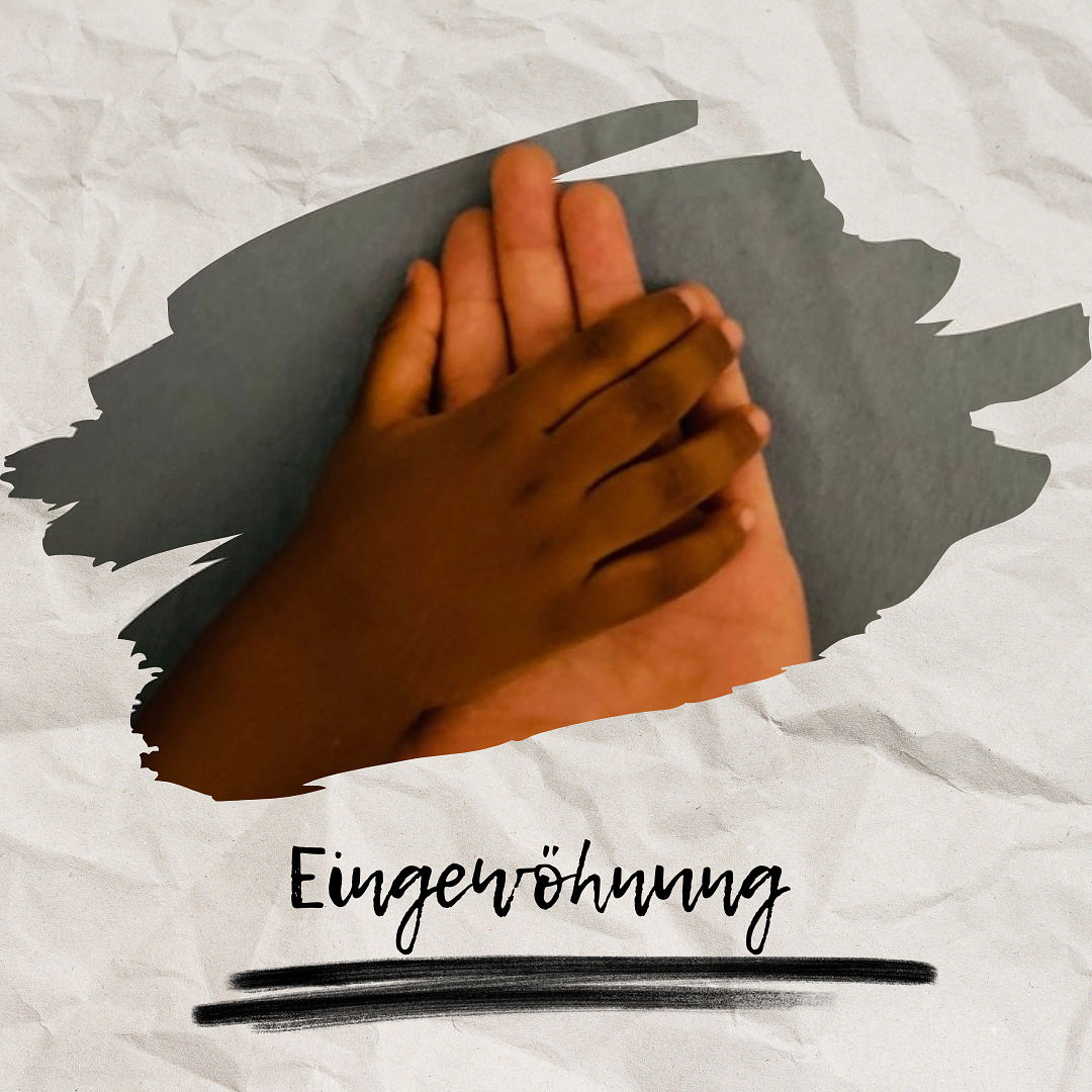 Eingewöhnung