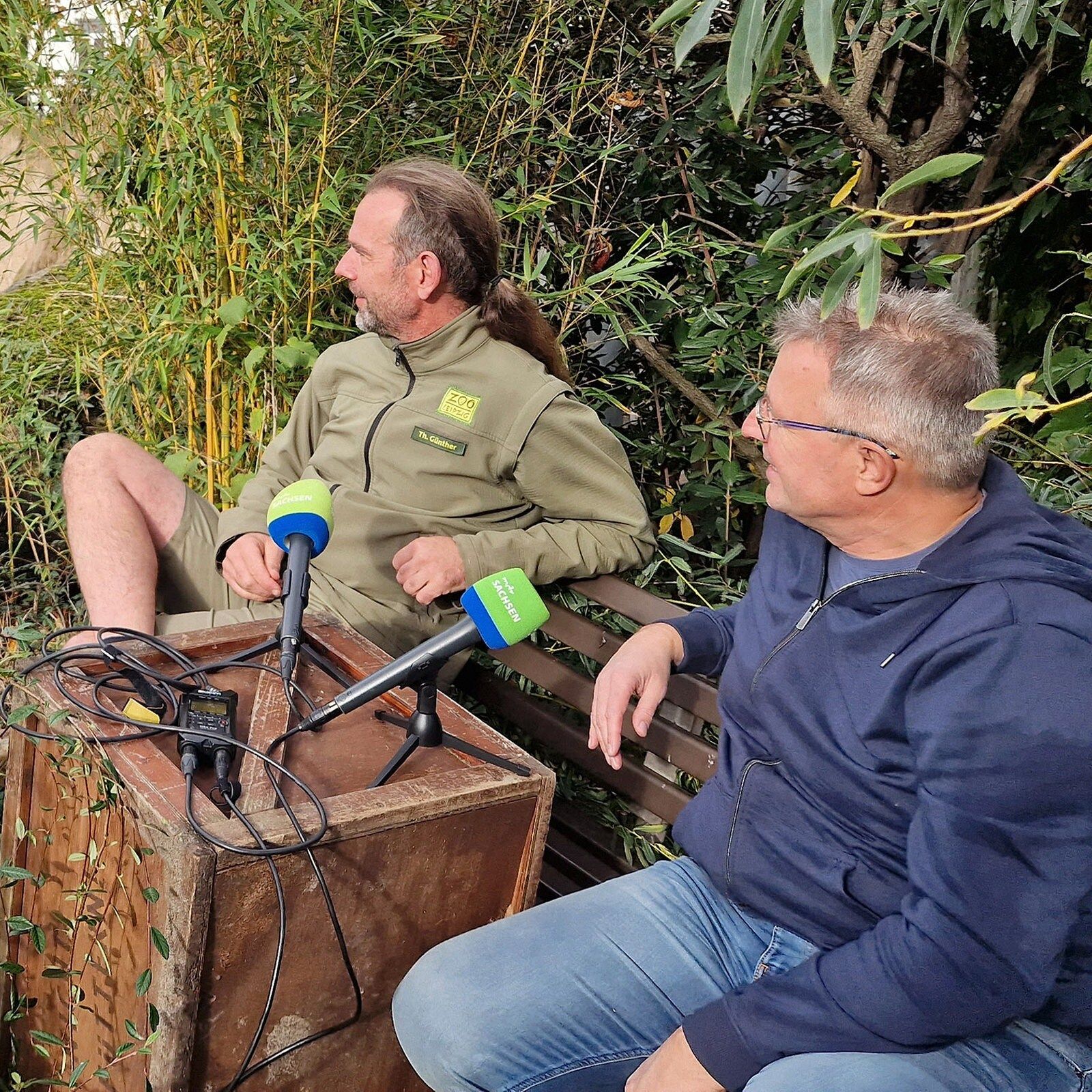 Elefanten - überall Elefanten!