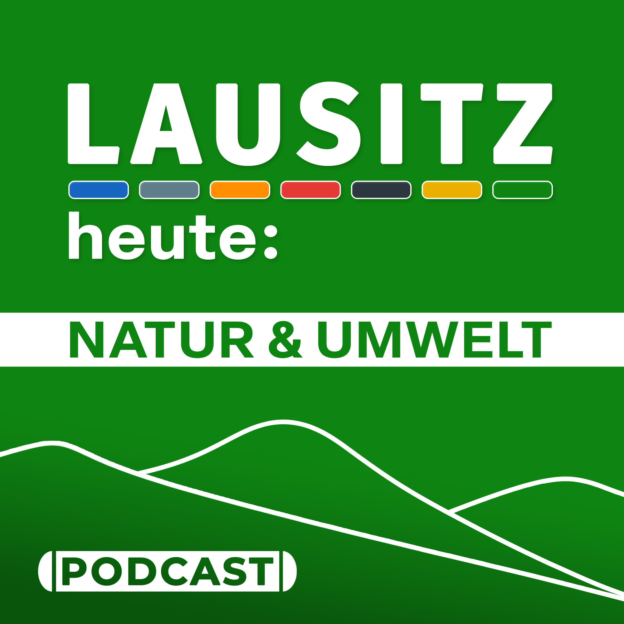 Elektro-Carsharing in der Lausitz