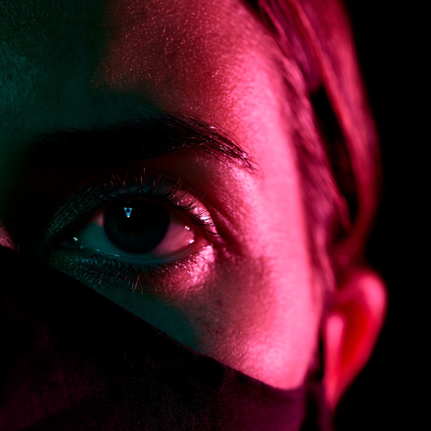 Emilys Reminder - CliFi-Dystopie mit Geoengineering-Konzern