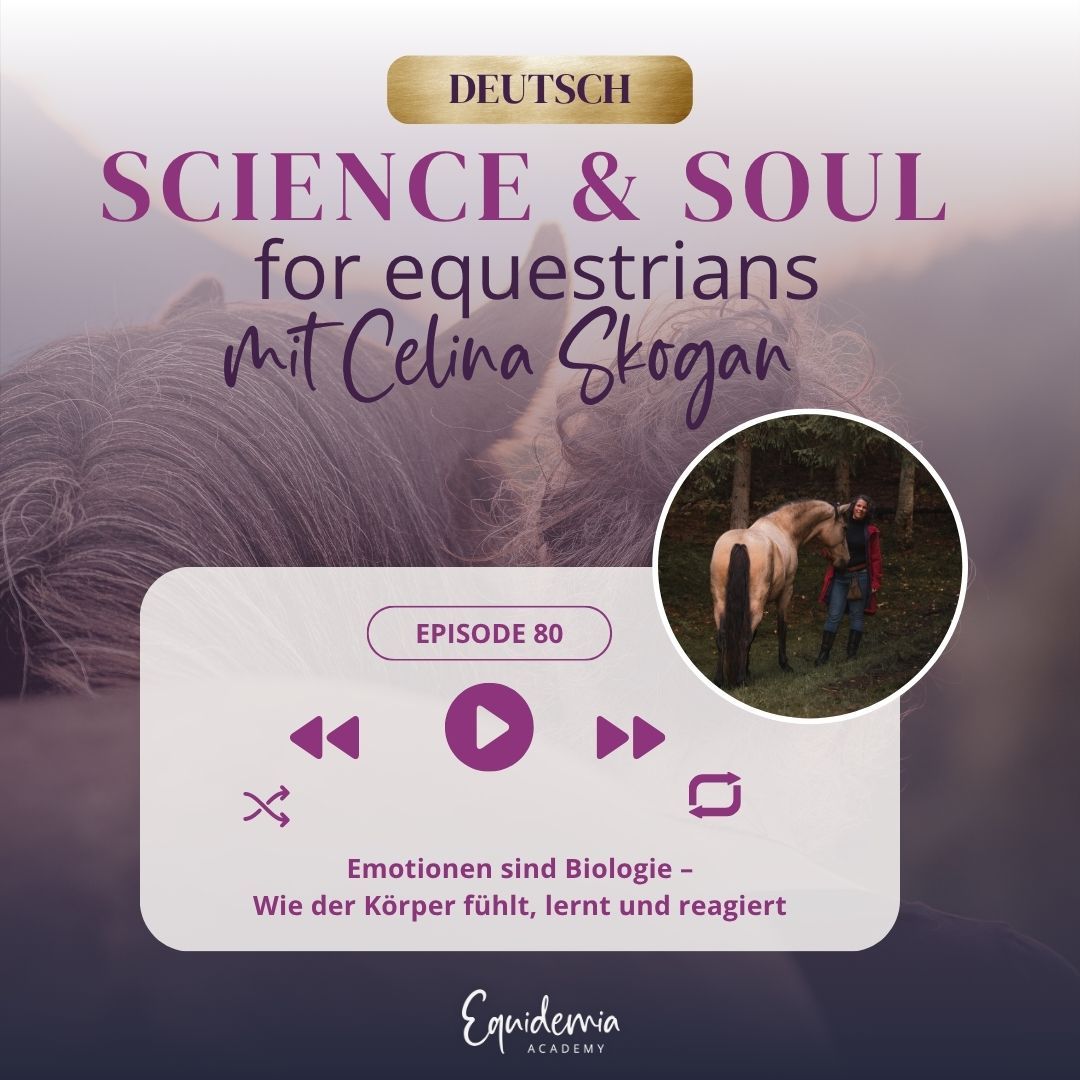 Emotionen sind Biologie – Wie der Körper fühlt, lernt und reagiert