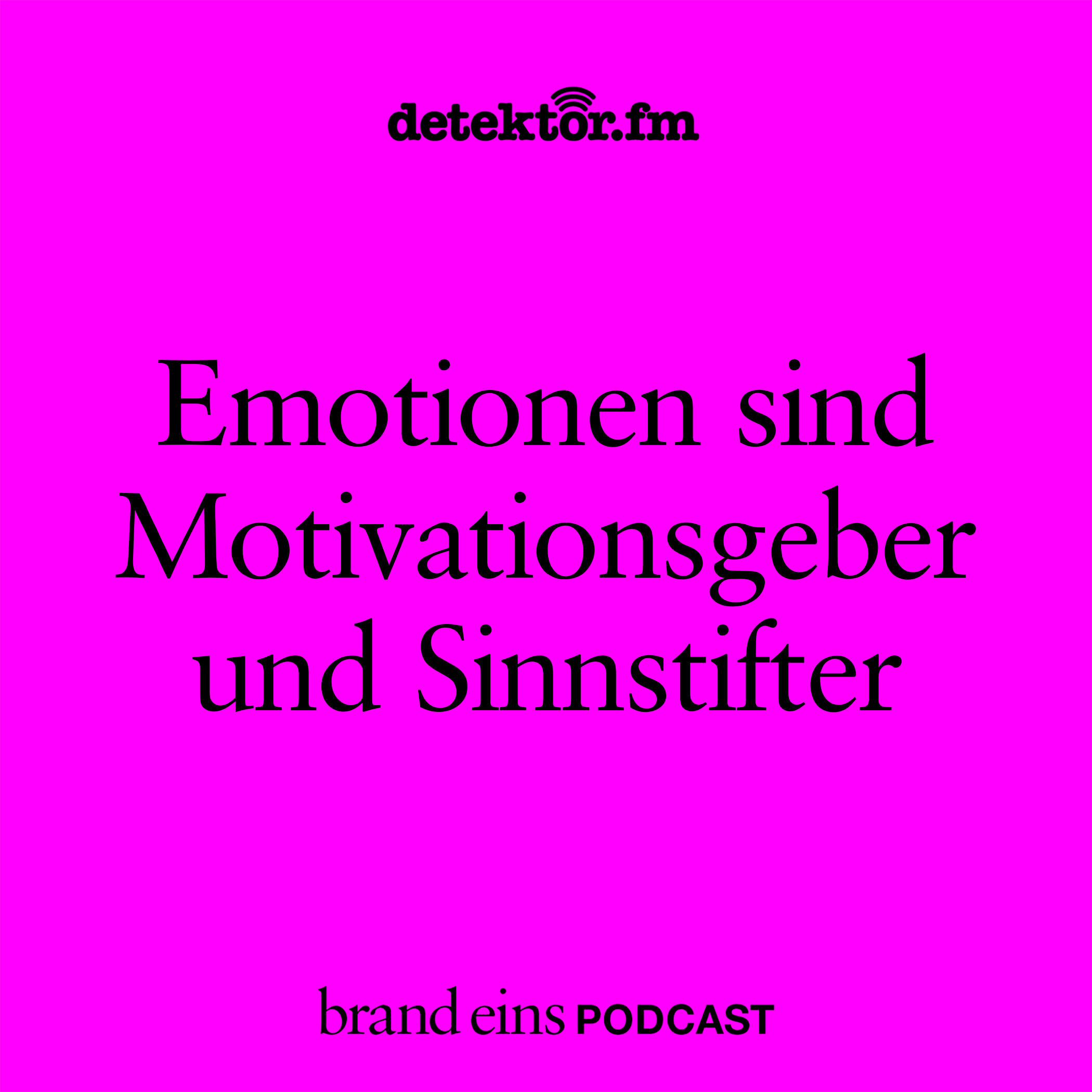 Emotionen sind Motivationsgeber und Sinnstifter