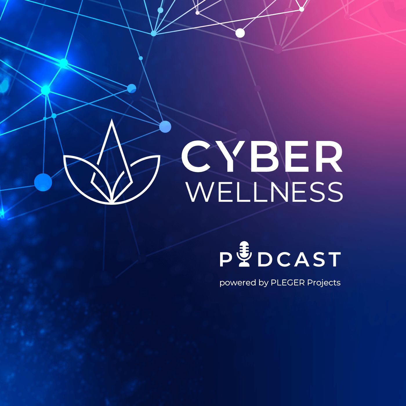 EN: Humans improve Cyber - Perplexity, Privacy & Power: How AI Is Changing Everyday Life and Who We Are- EP4