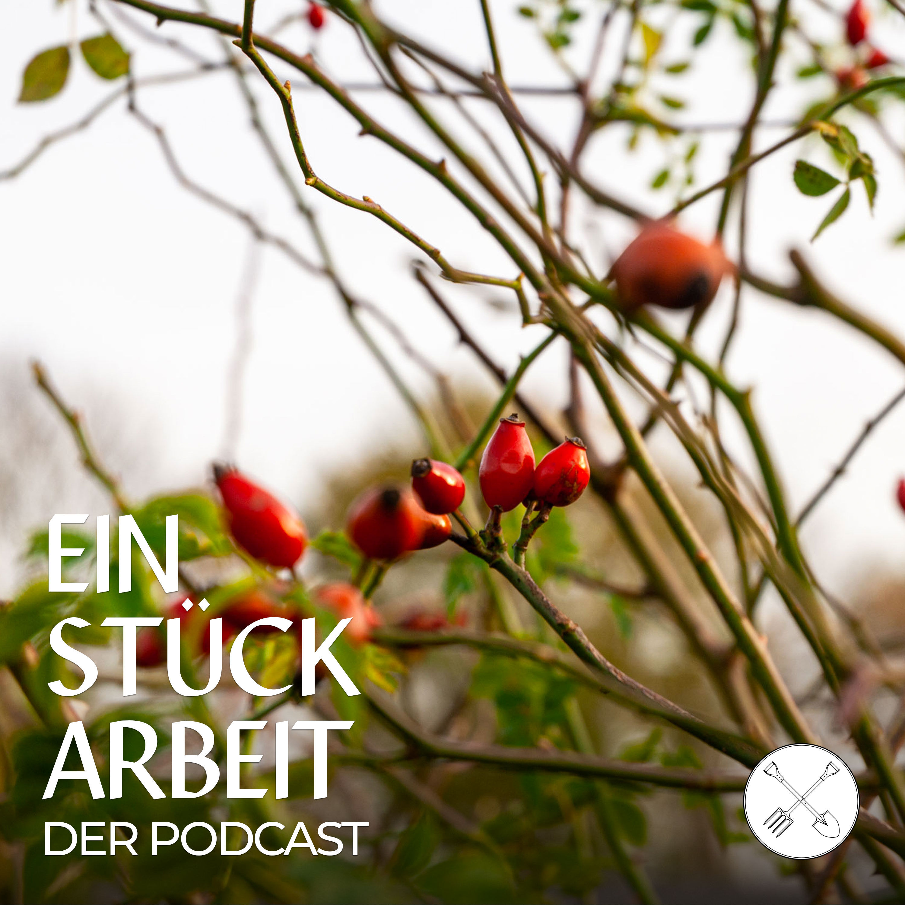 👩‍🌾👨‍🌾 Endlich Herbst – Wir haben viel vor!