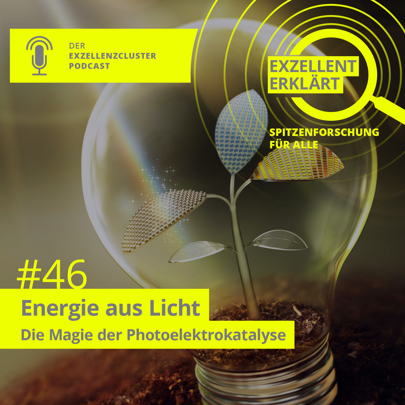 Energie aus Licht – Die Magie der Photoelektrokatalyse