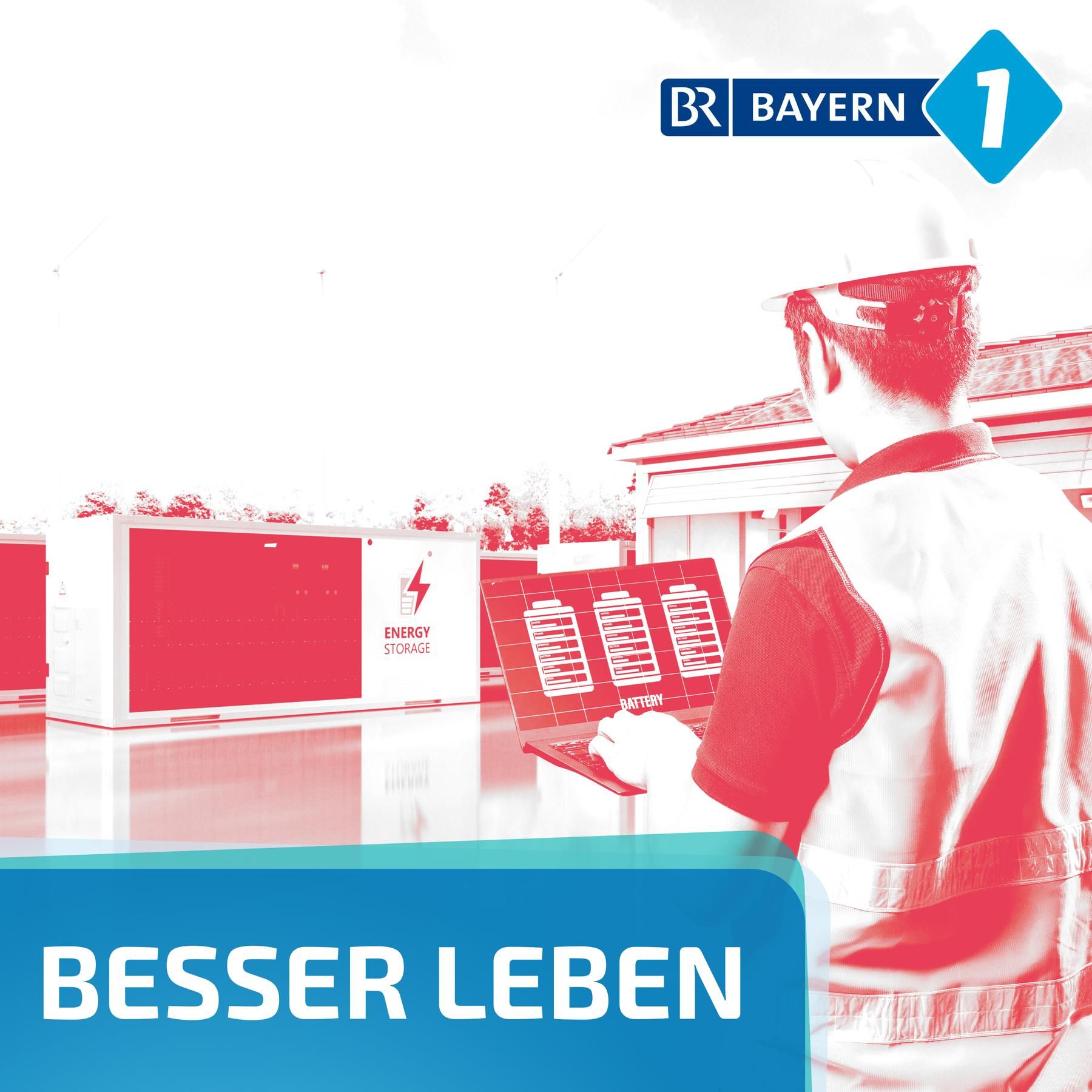 Energiewende: Wie steht's derzeit um Netzausbau und Batteriespeicher in Bayern?