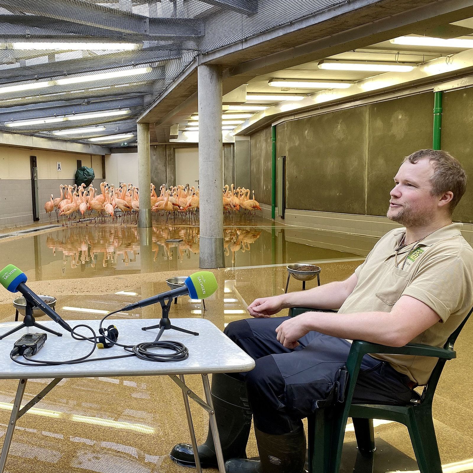 Entschuldigung, wohnt hier Rosa Löffler?