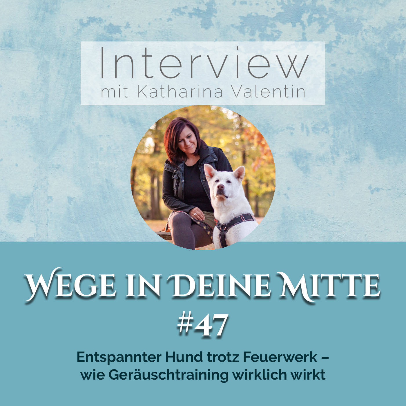 Entspannter Hund trotz Feuerwerk – wie Geräuschtraining wirklich wirkt (Episode 47)