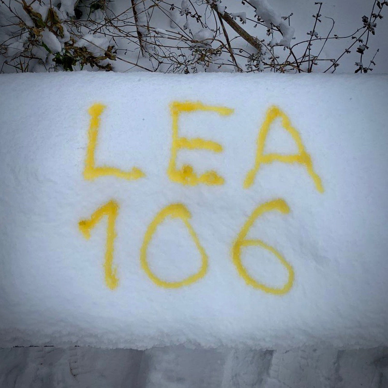 Episode #106: Yellow Snow