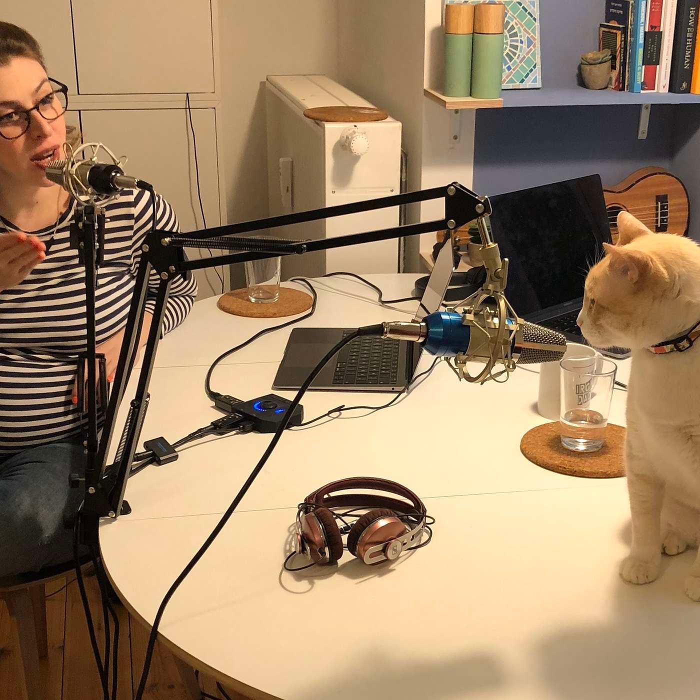 Episode 13: Let's make sense of Data Science