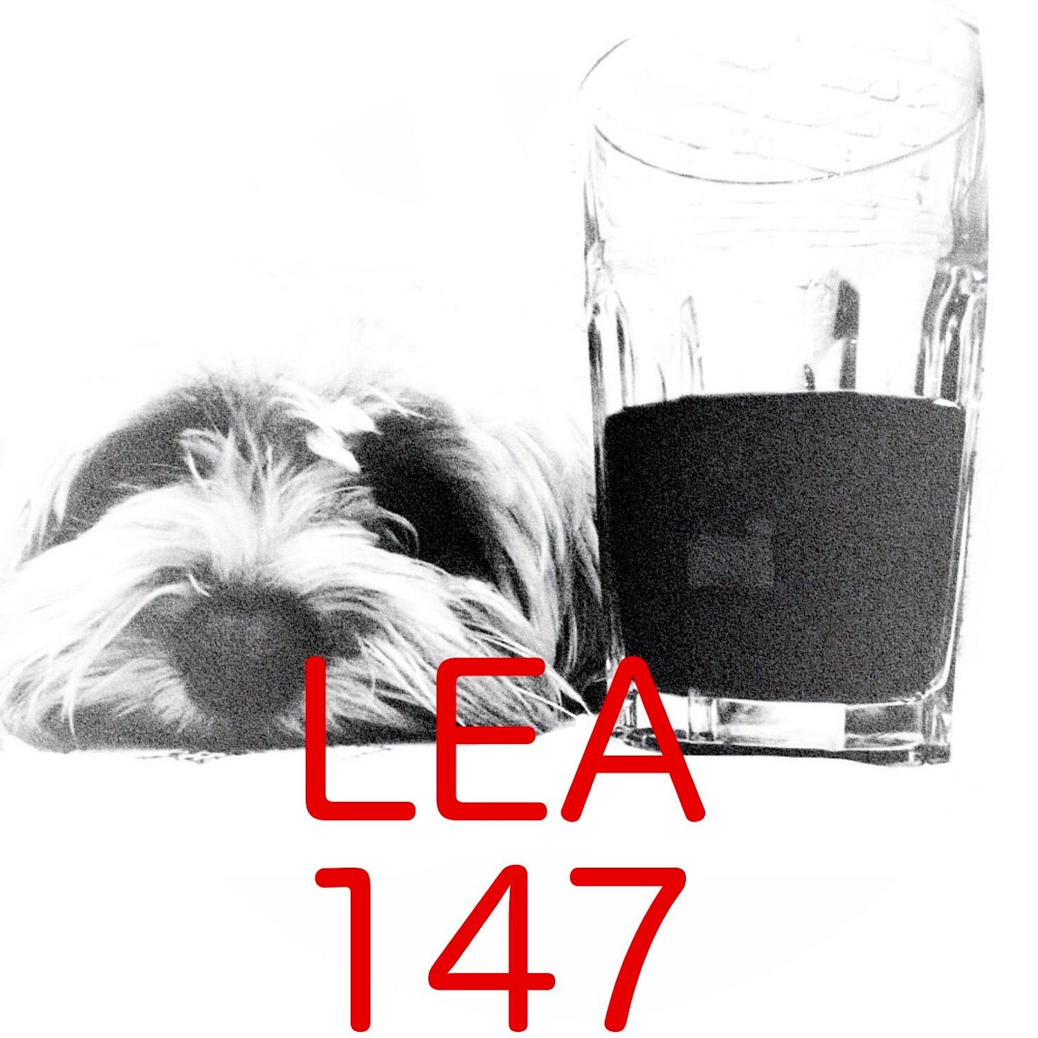 Episode #147: Richtig reinhauen