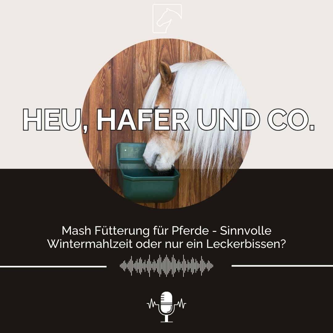 Episode 16 - Mash-Fütterung für Pferde: Sinnvolle Wintermahlzeit oder nur ein Leckerbissen?