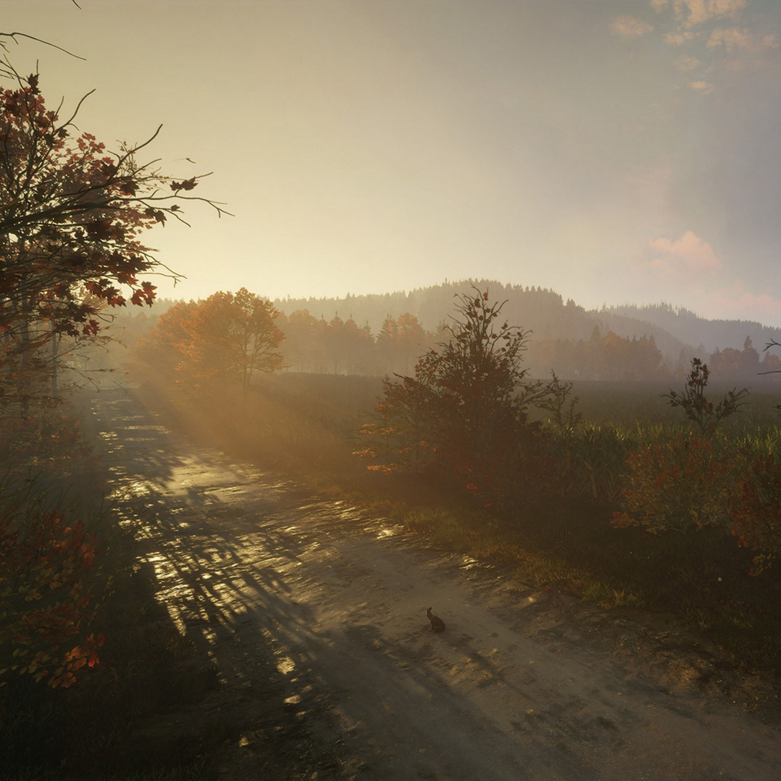 Episode 17: Die unheimlichen Legenden des Appalachian Trail