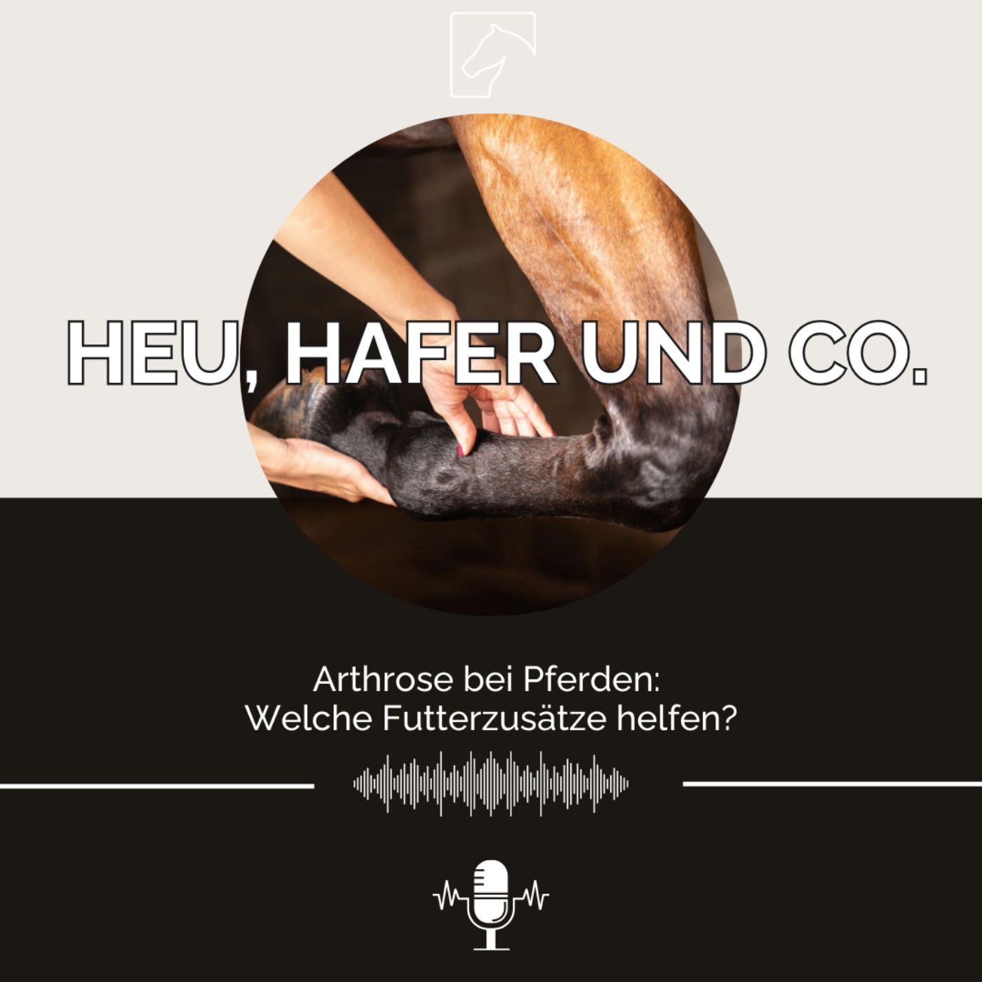 Episode 18 - Arthrose bei Pferden: Welche Futterzusätze helfen?