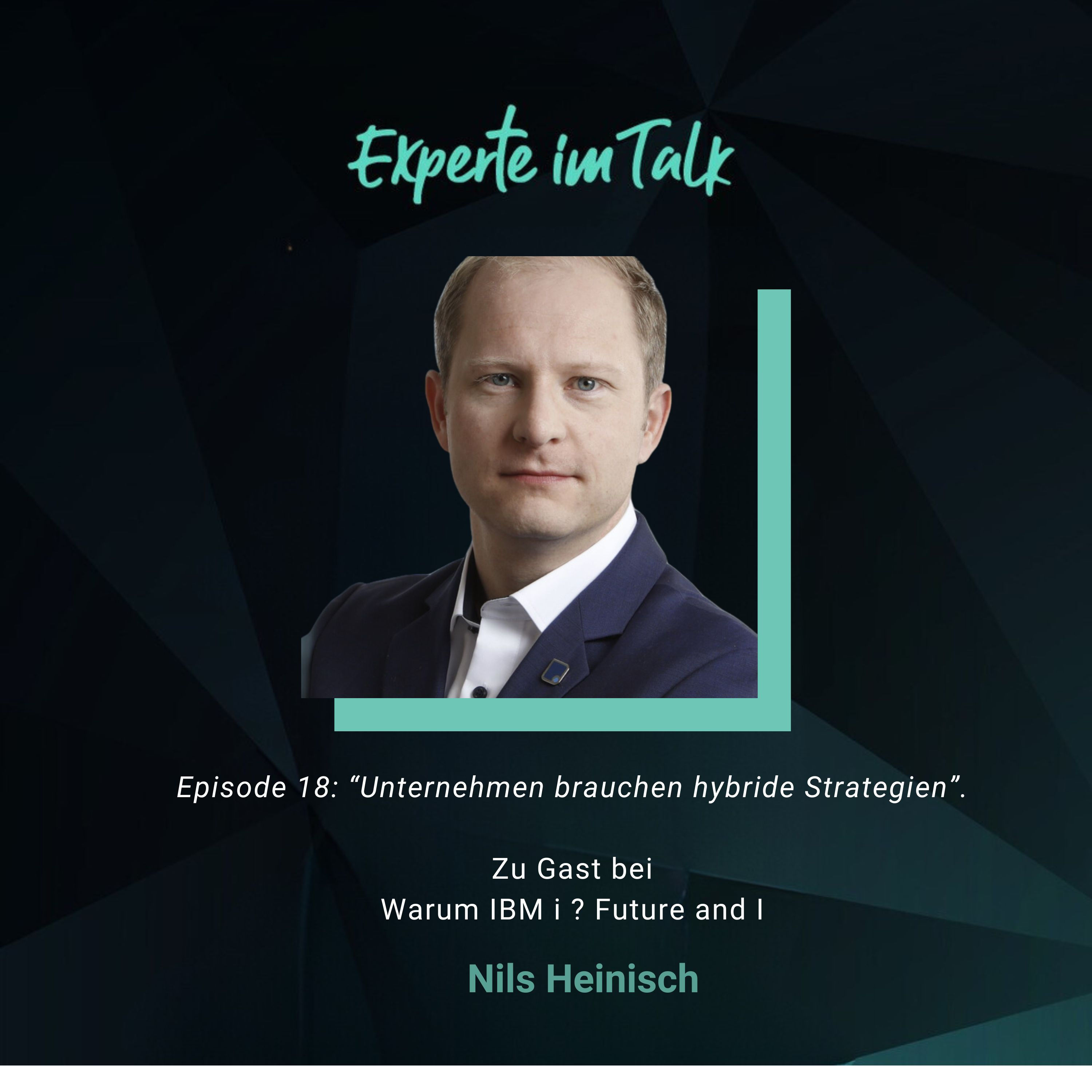 Episode 18: Unternehmen brauchen hybride Strategien - Gast: Nils Heinisch