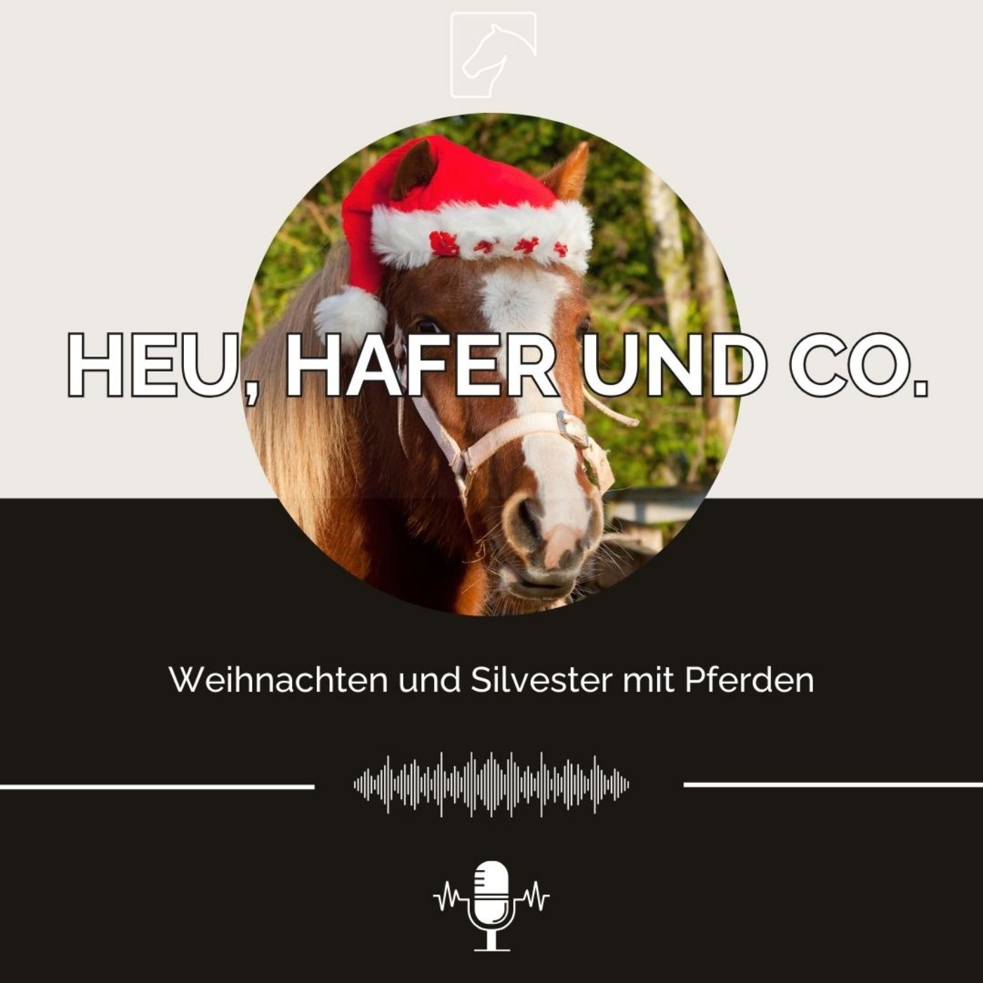 Episode 19 - Weihnachten und Silvester mit Pferden
