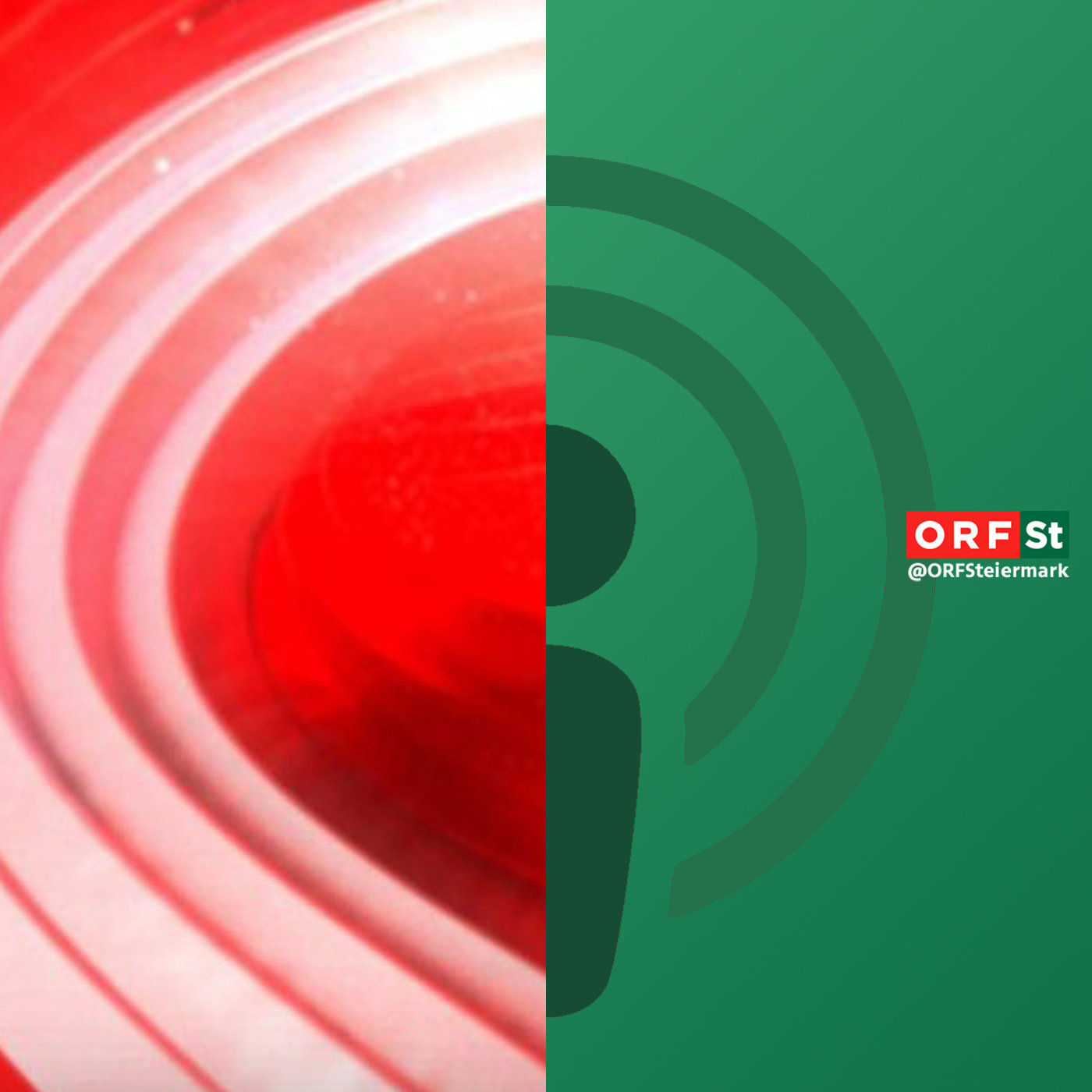 Episode 2: Heimspiel - mit wem geht Österreich ins Rennen?