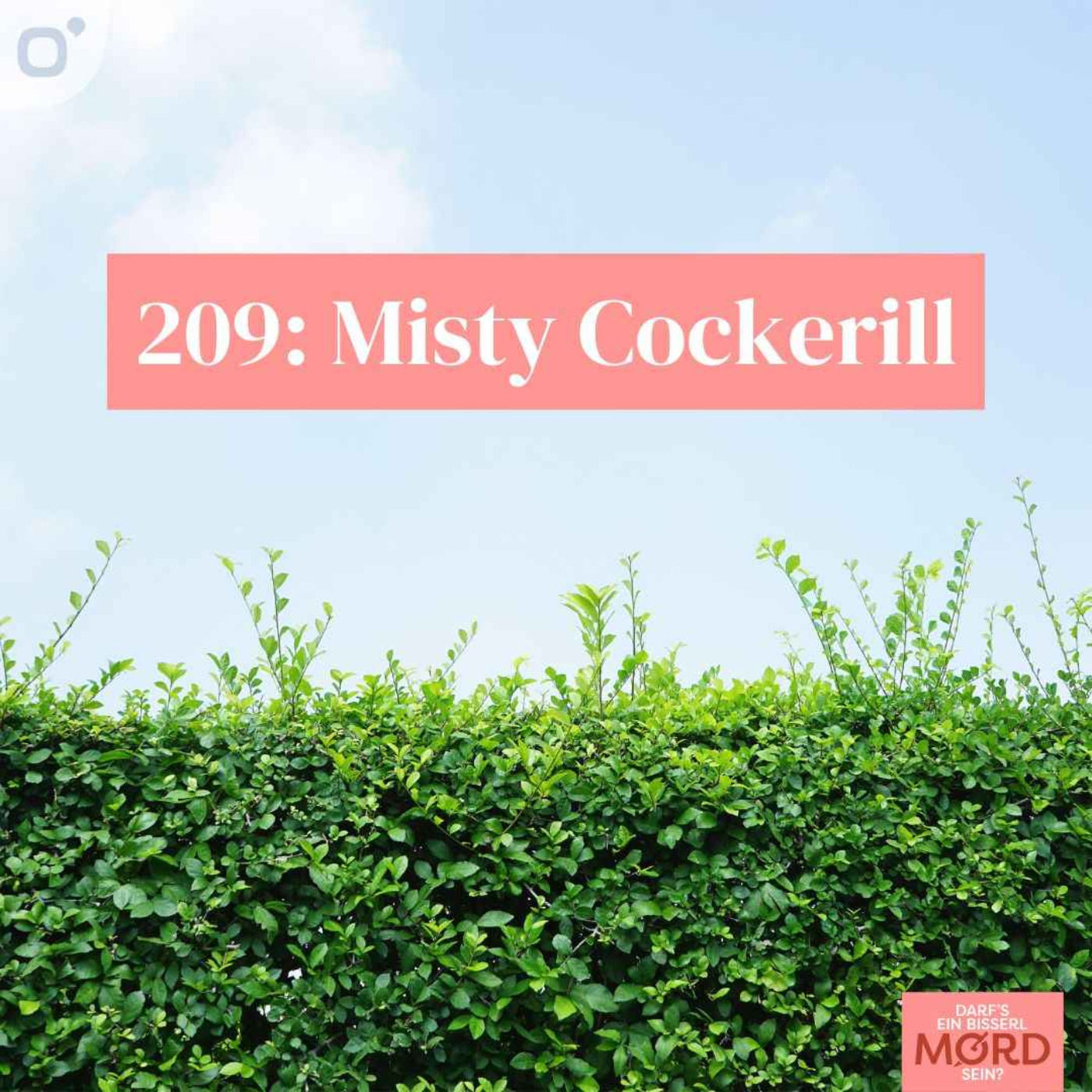 Episode 209: Misty Cockerill