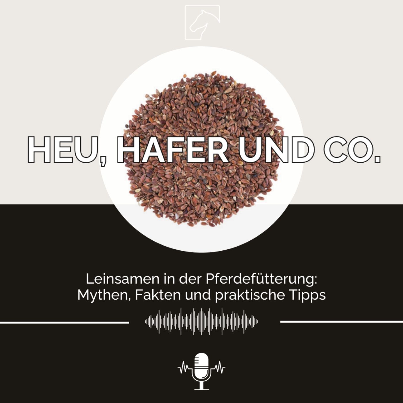 Episode 23 - Leinsamen: Mythen, Fakten, praktische Tipps