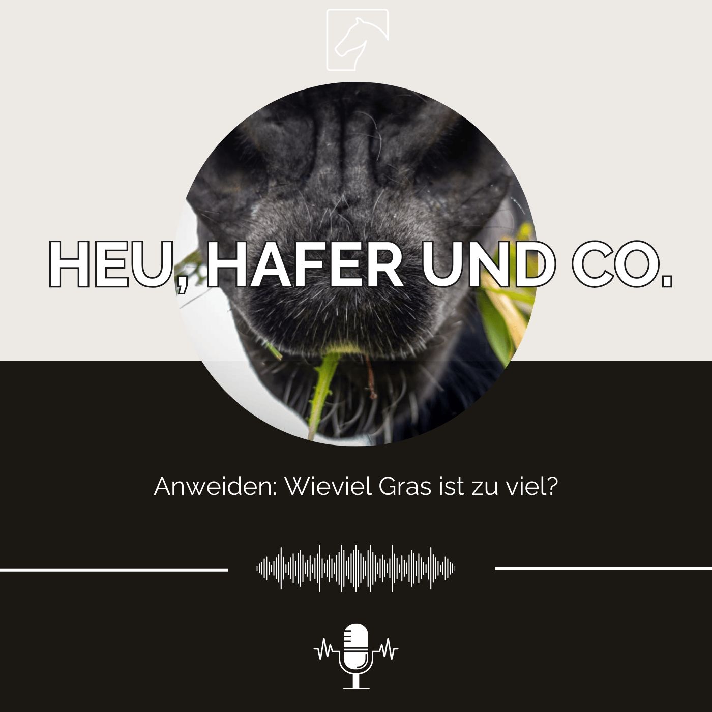 Episode 25 - Anweiden: Wieviel Gras ist zu viel?