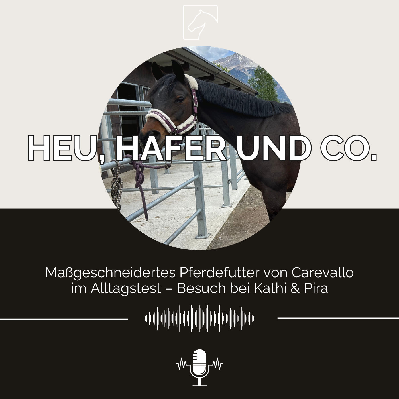 Episode 32 - Maßgeschneidertes Pferdefutter von Carevallo im Alltagstest: Besuch bei Kathi und Pira