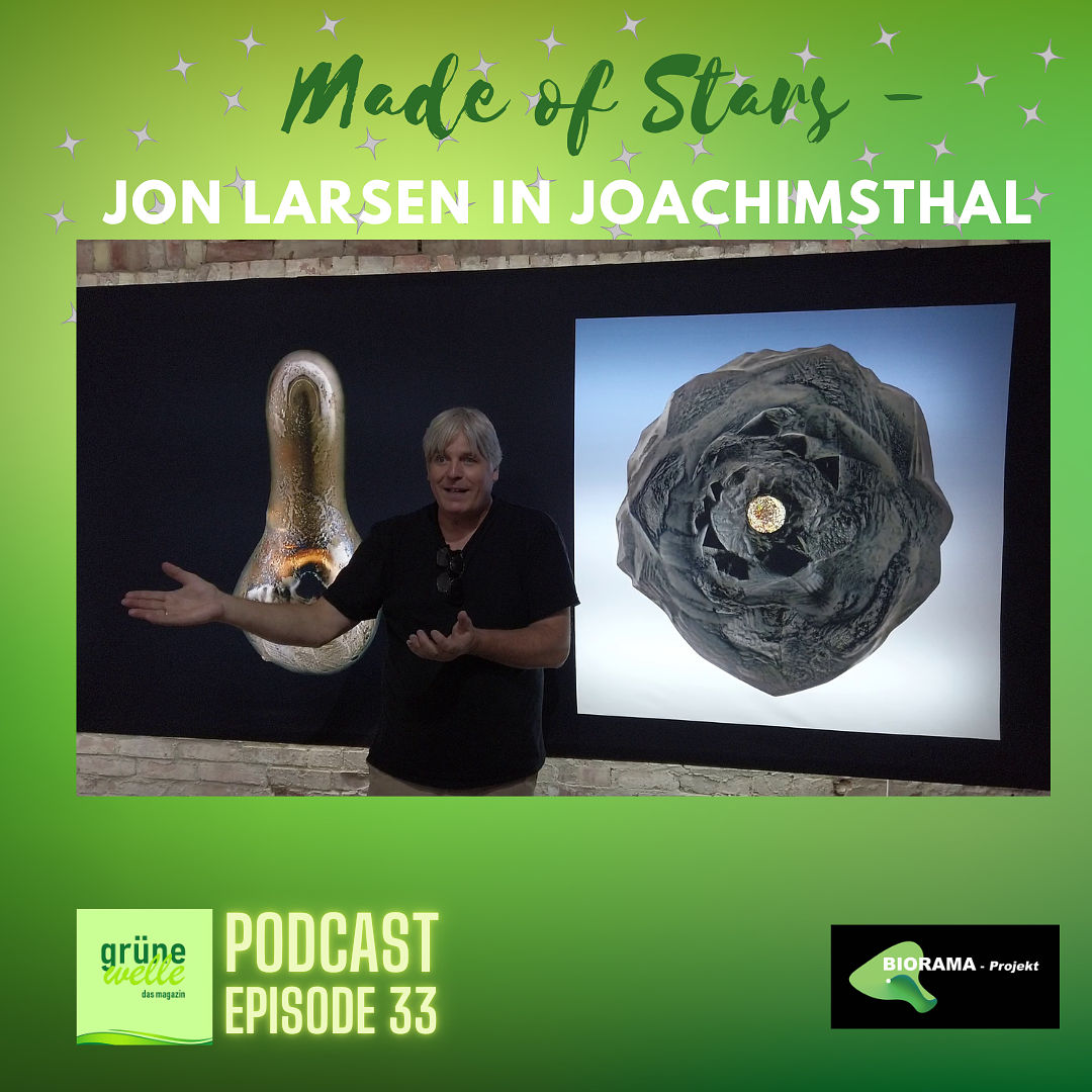 Episode 33 - Made of Stars