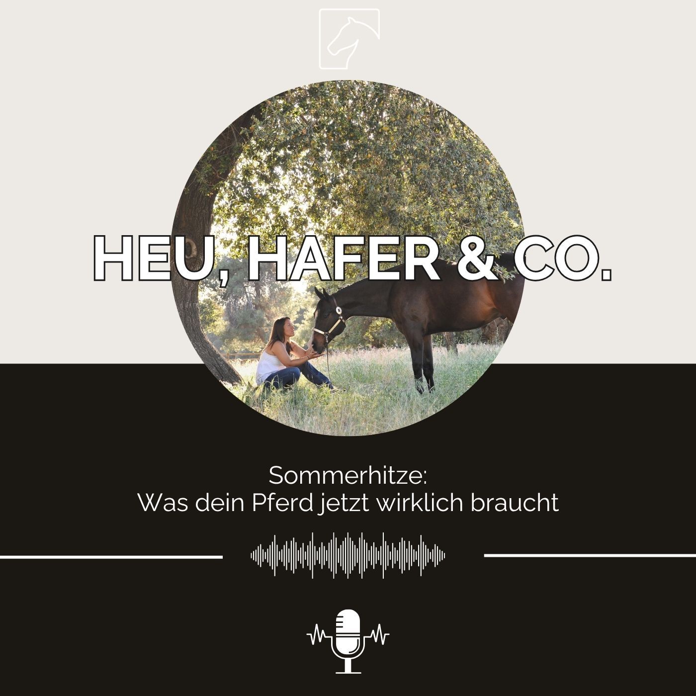 Episode 33 - Sommerhitze: Was dein Pferd jetzt wirklich braucht