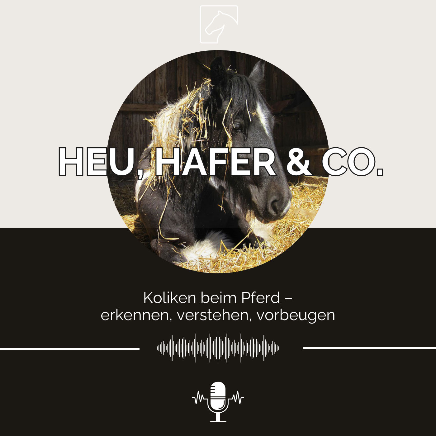 Episode 34 - Koliken beim Pferd: erkennen, verstehen, vorbeugen