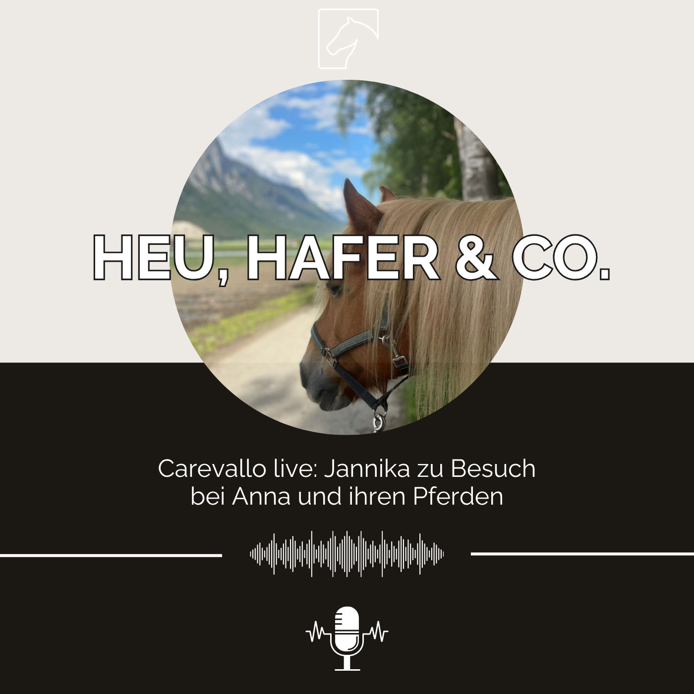Episode 40 - Carevallo live: Jannika zu Besuch bei Anna und ihren Pferden