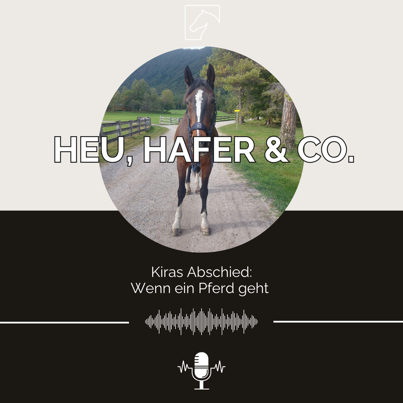 Episode 41 - Kiras Abschied: Wenn ein Pferd geht