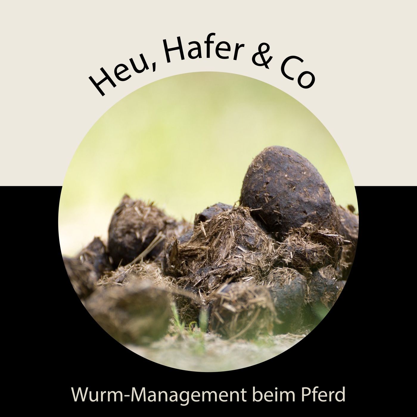 Episode 6 - Wurm-Management beim Pferd