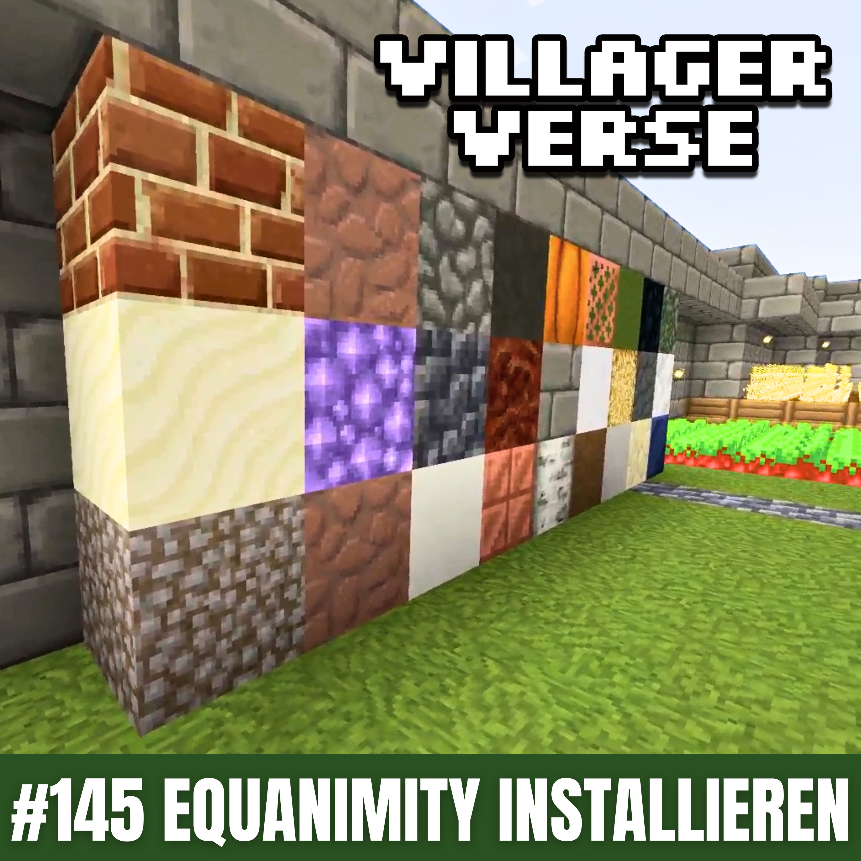 Equanimity Texture Pack installieren (exaroton) ⚙️ #145