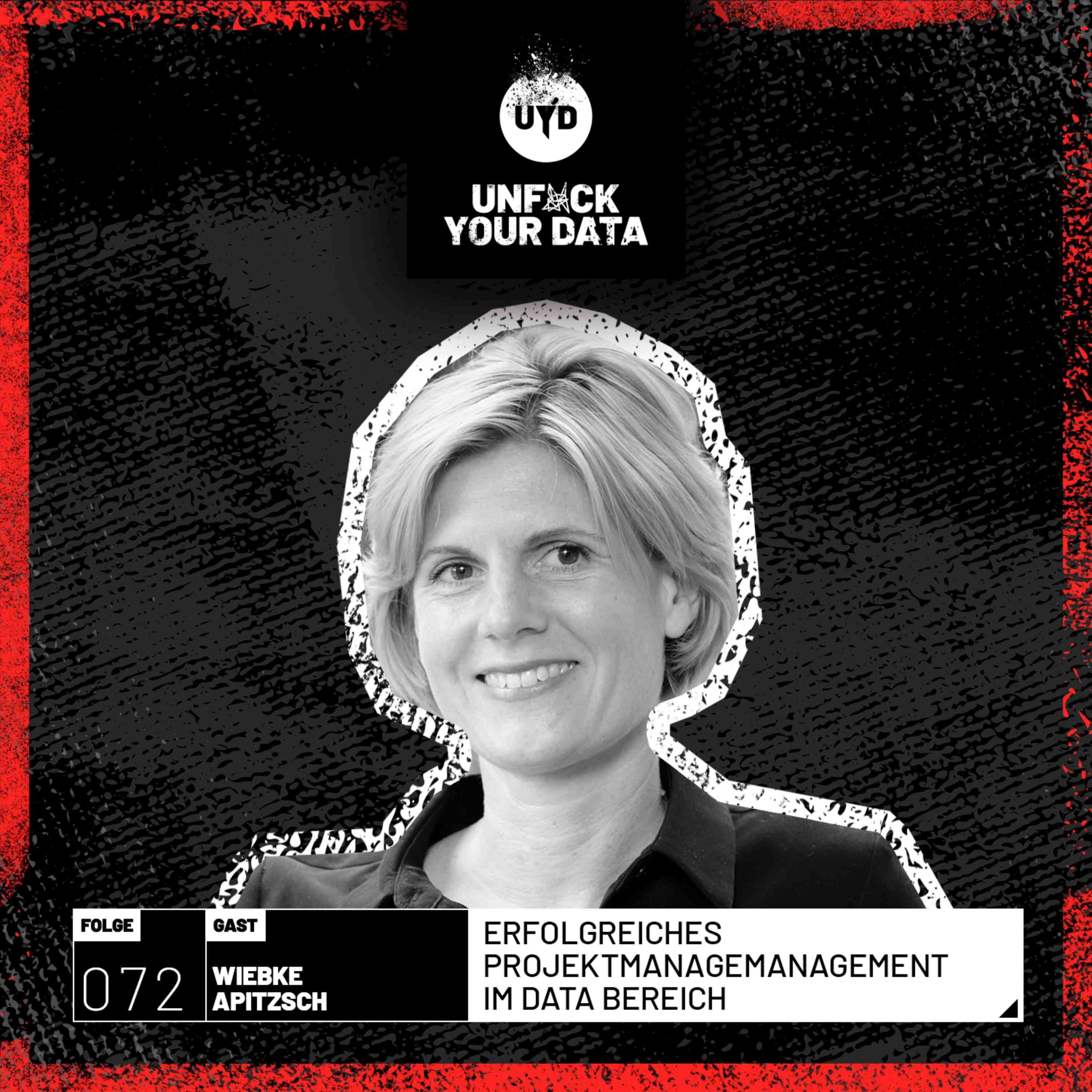 Erfolgreiches Projektmanagement im Data Bereich | Wiebke Apitzsch