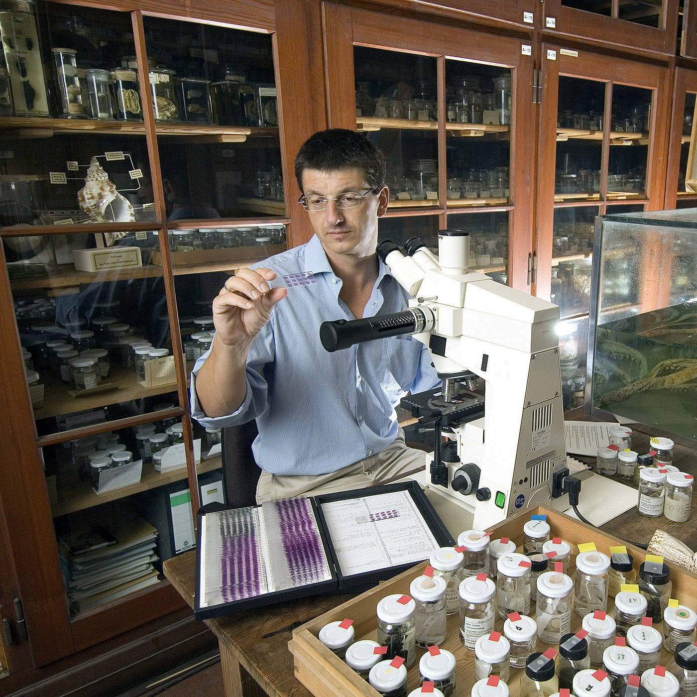 “Erforschen, verstehen, schützen. Das tun wir alles nicht“ | Matthias Glaubrecht, Evolutionsforscher