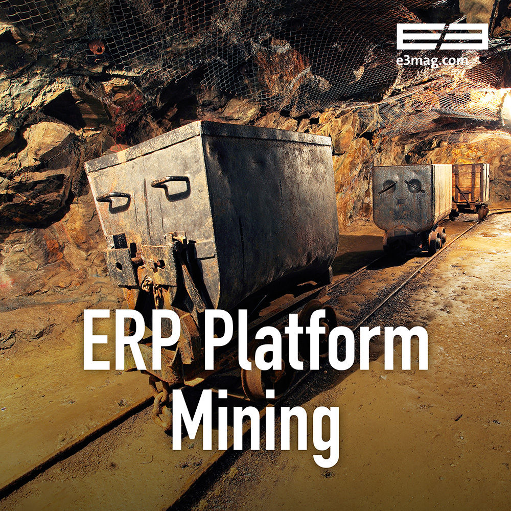 ERP Platform Mining
