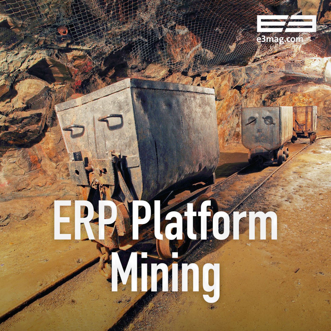 Feb 26: ERP Platform Mining