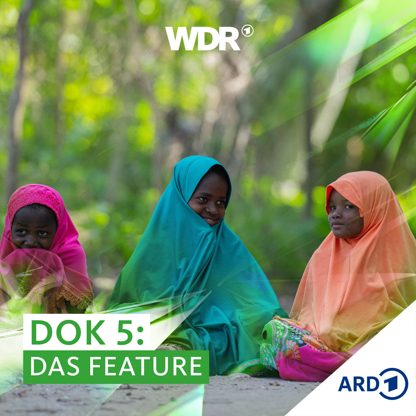 Erst die Katze – dann der Mensch