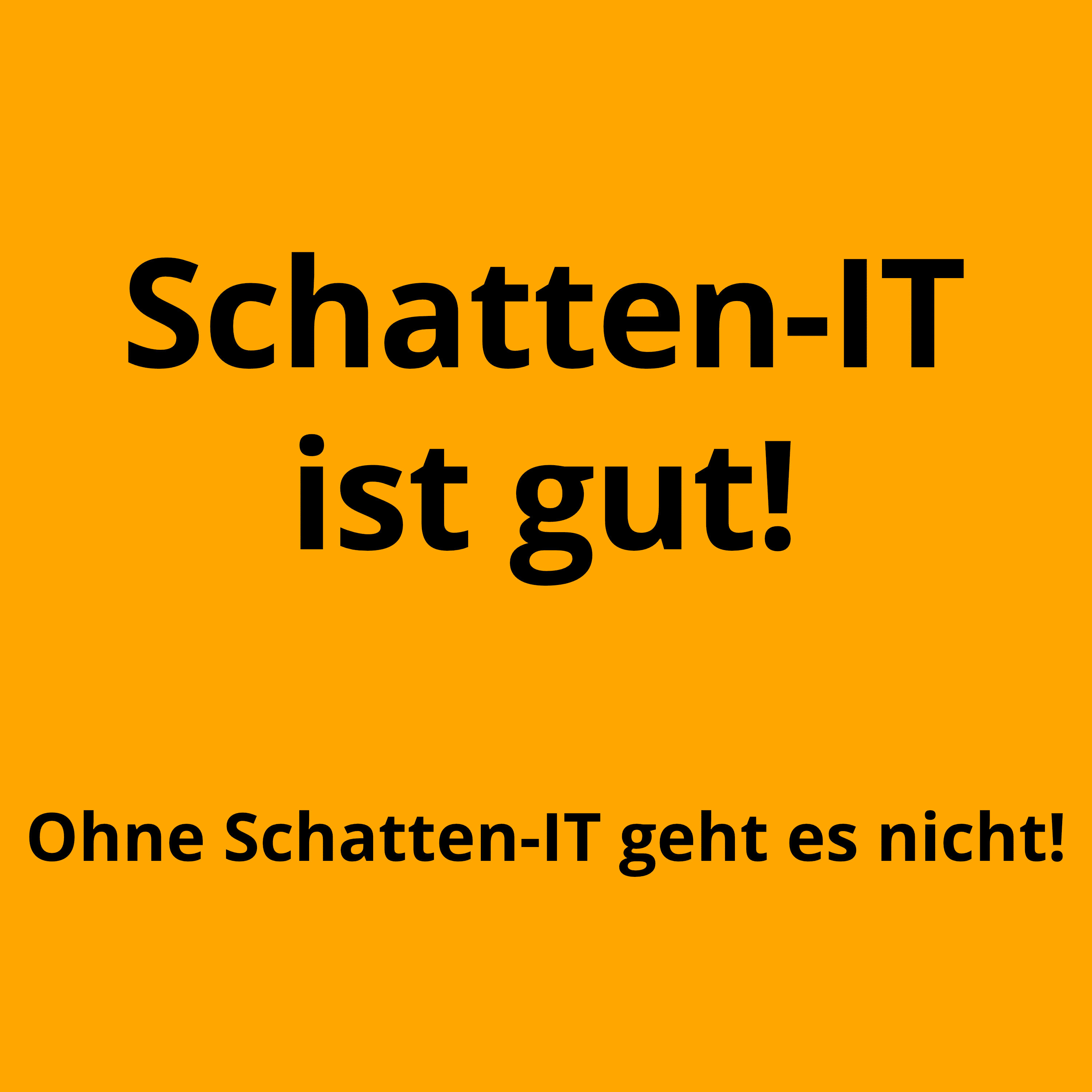 Es geht nicht ohne Schatten-IT