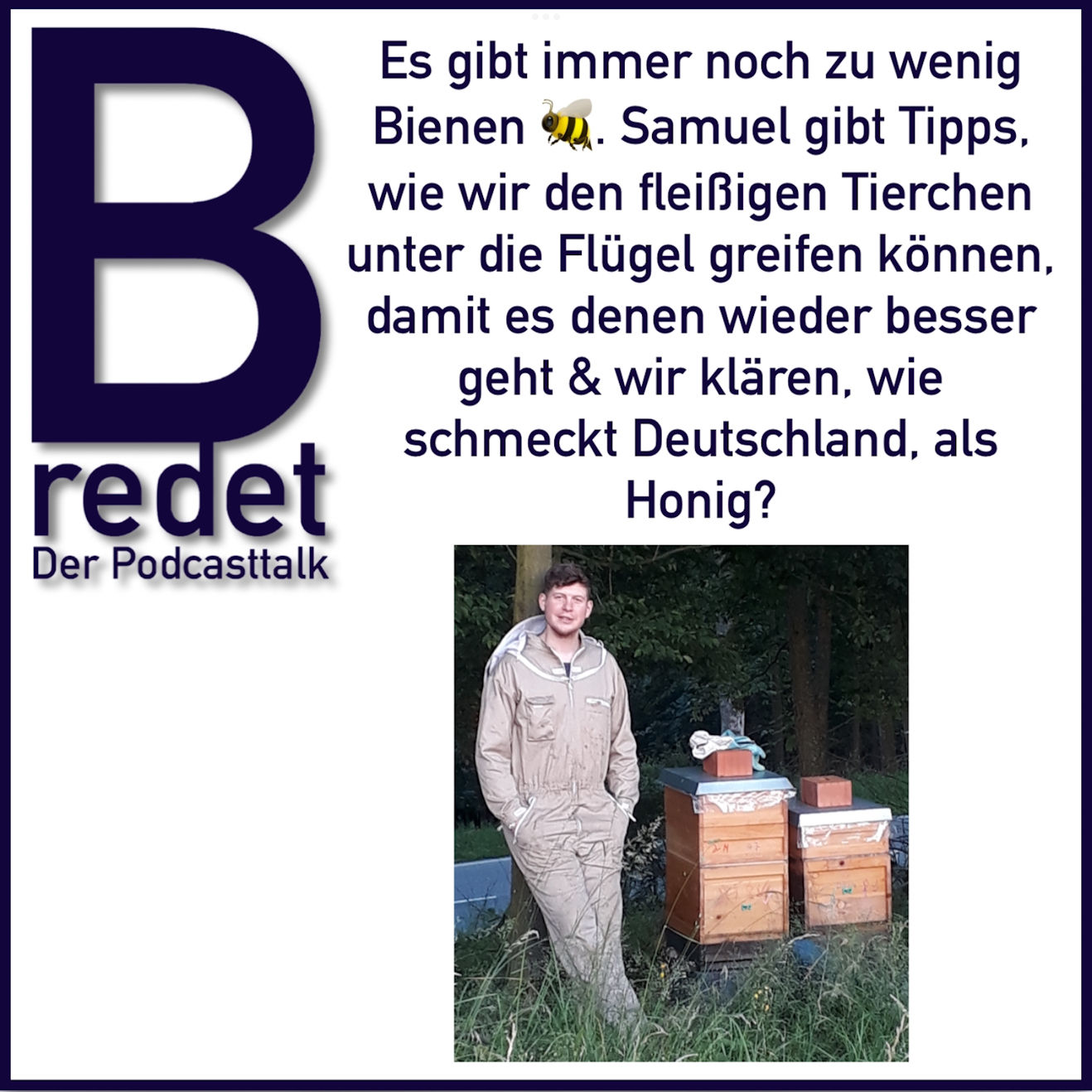 Es gibt immer noch zu wenig Bienen! Wir helfen den fleißigen Tierchen mit wertvollen Tipps damit sie es einfacher haben.