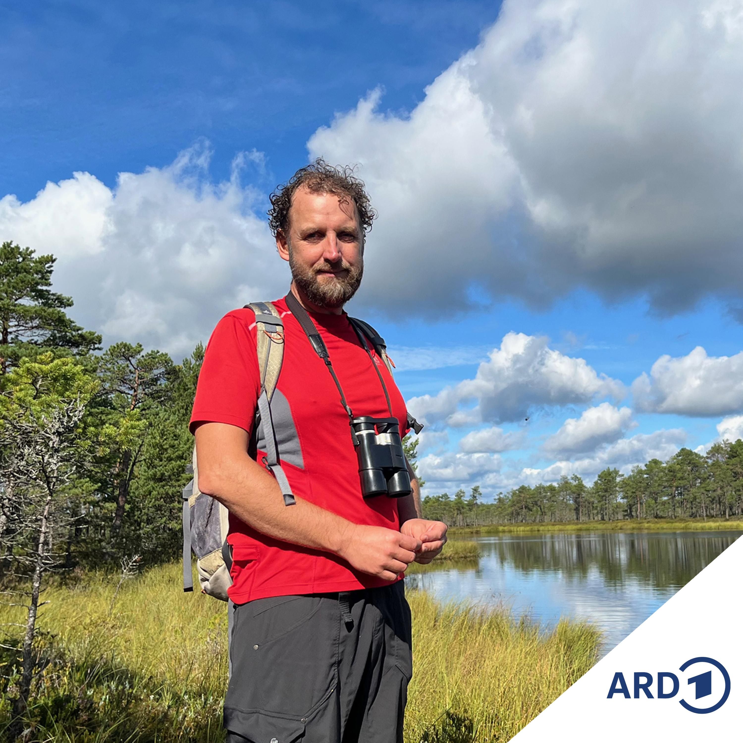 Estland - einsame Inseln, spannende Metropolen