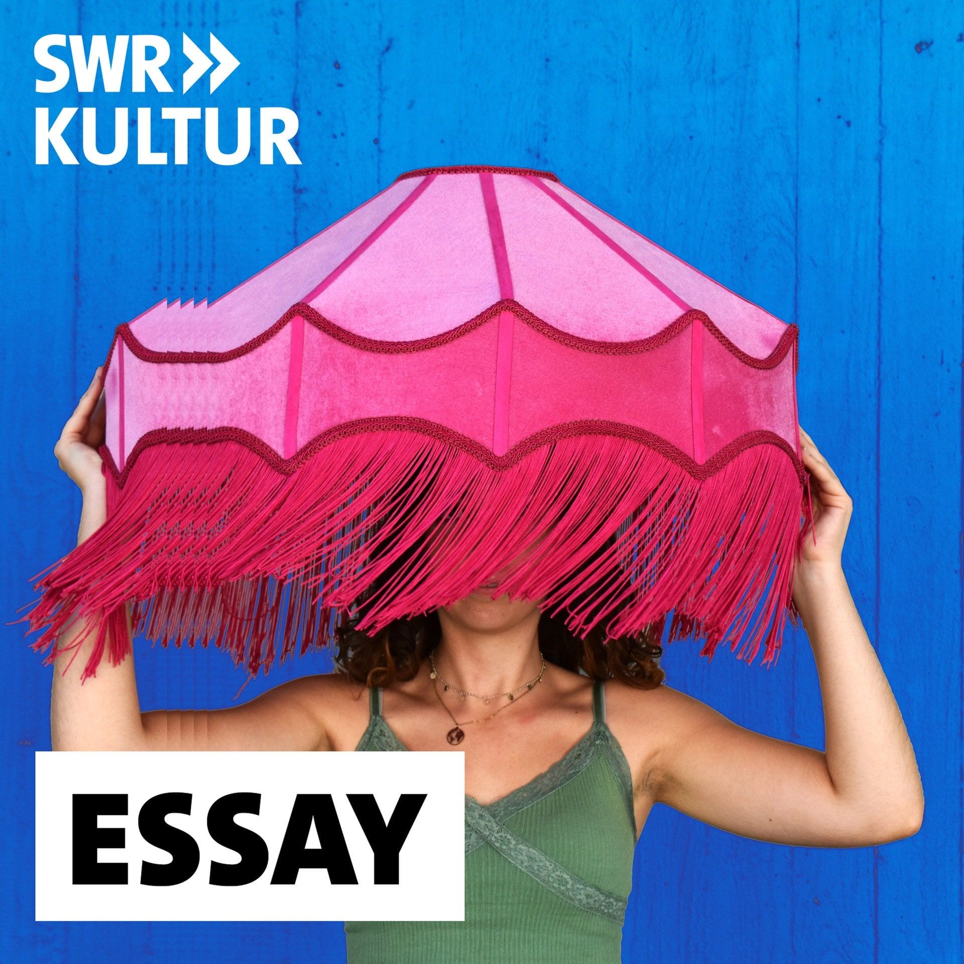 Eure Geschichten sind nicht eure Geschichten - Versuch über Fanfiction