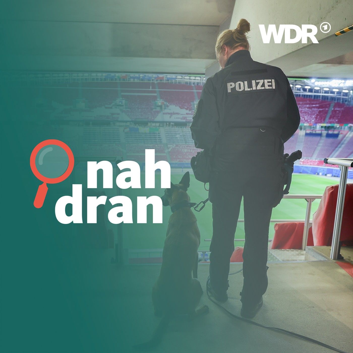 EURO 2024: Wie sicher ist die Fußball-EM? I nah dran