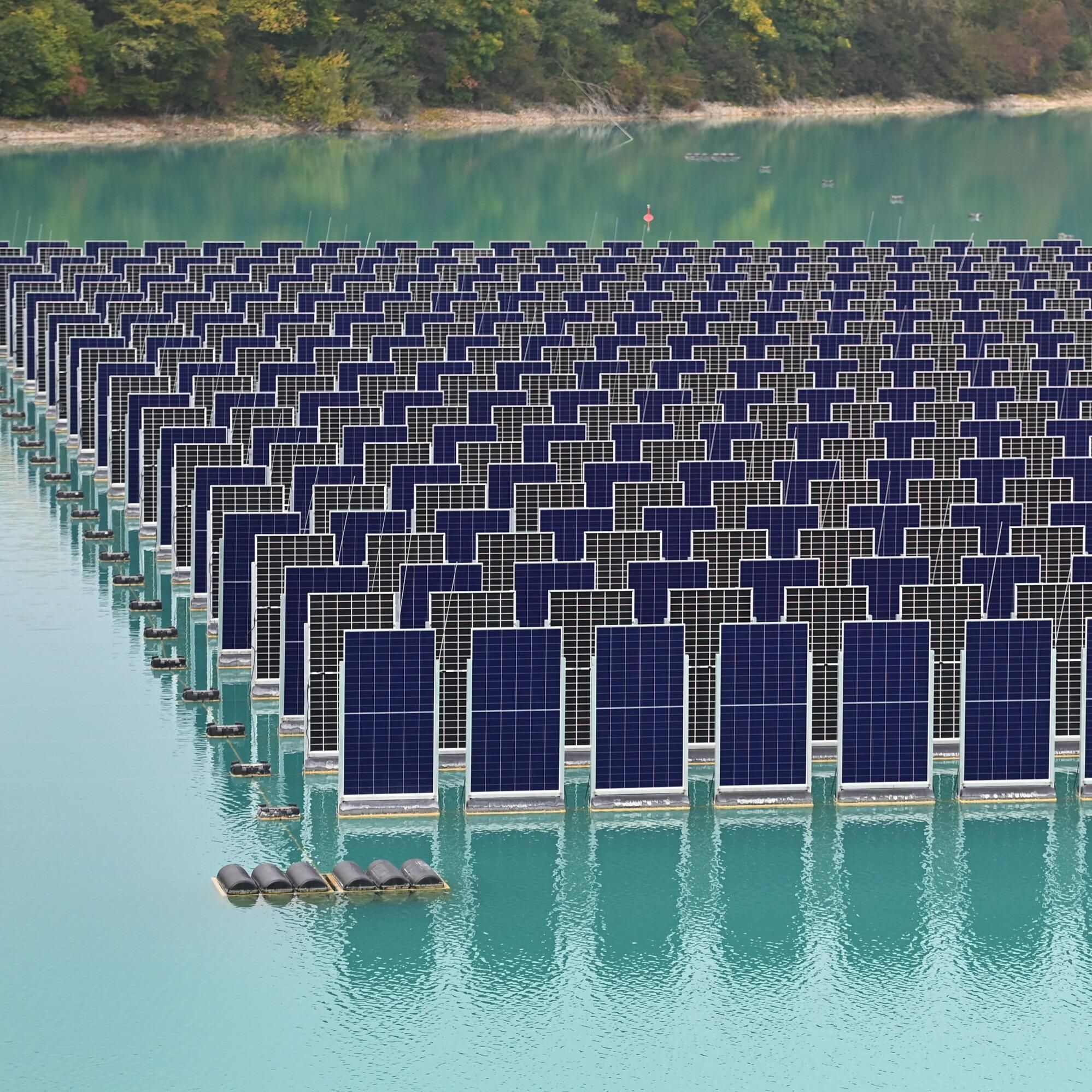 "Europa macht Energiewende so, als würde man wollen, dass sie scheitert" - Greg Jackson