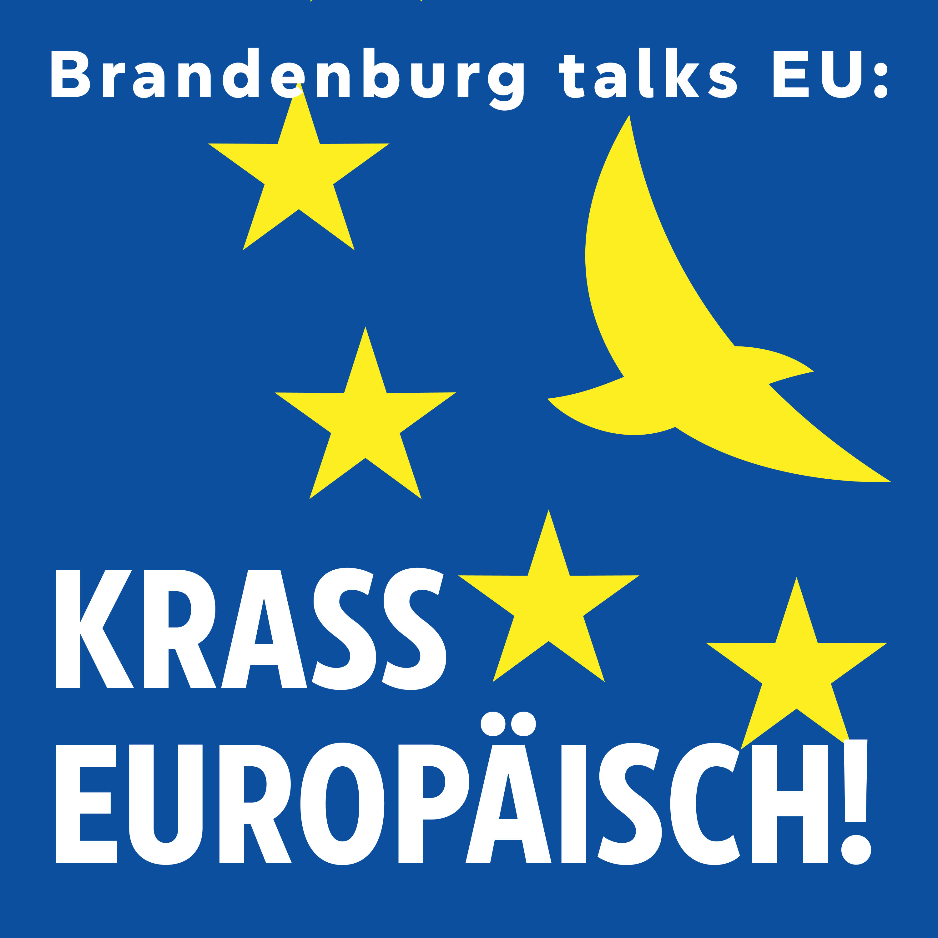 Europa muss jetzt Weichen stellen