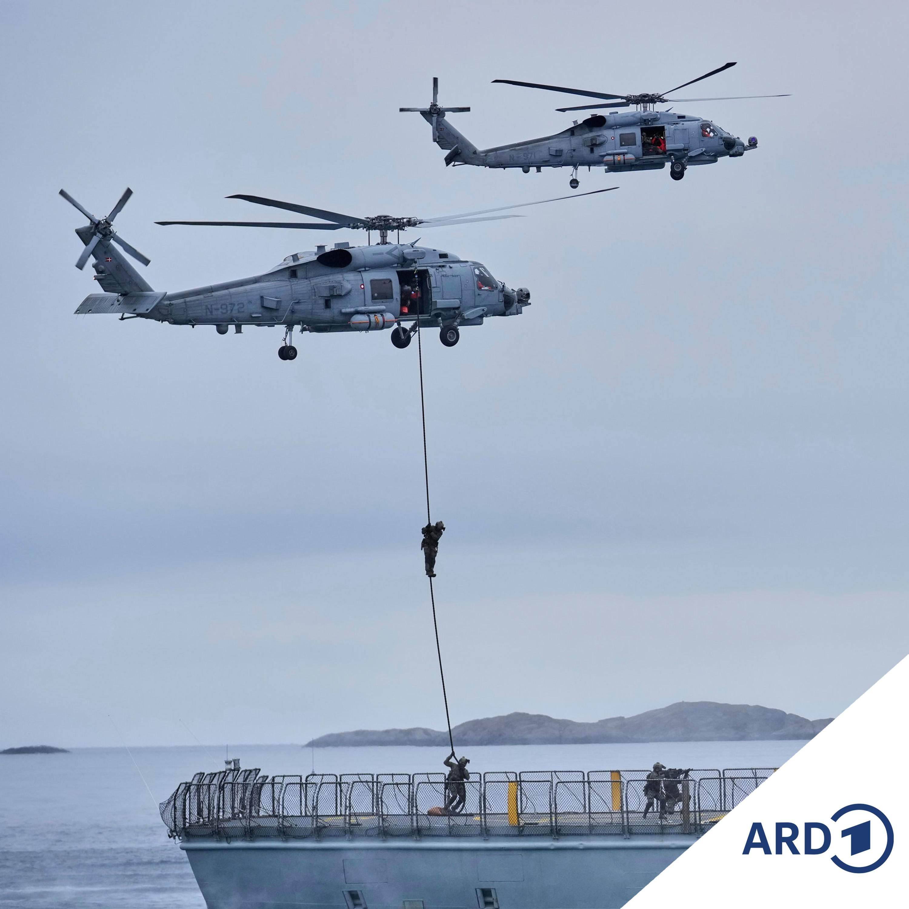 Europäische Staaten sichern Grönland Unterstützung zu