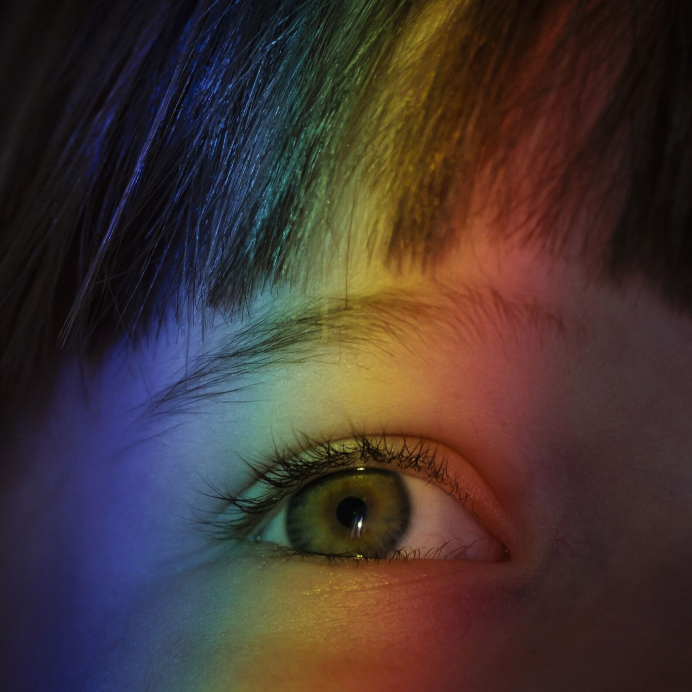 Eva Schürmann: Theorien des Sehens